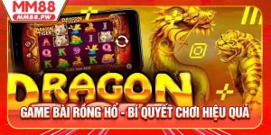Game Bài Rồng Hổ - Bí Quyết Chơi Hiệu Quả Từ Cao Thủ Kinh Nghiệm